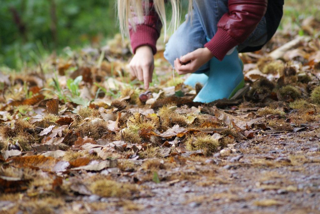 Zabawy dla dzieci na czas jesiennych wieczorów
